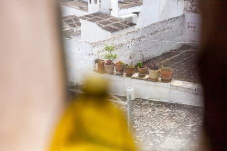 Vista Mozzafiato Sul Mare, Suite Di Lusso - Ostuni Extérieur photo